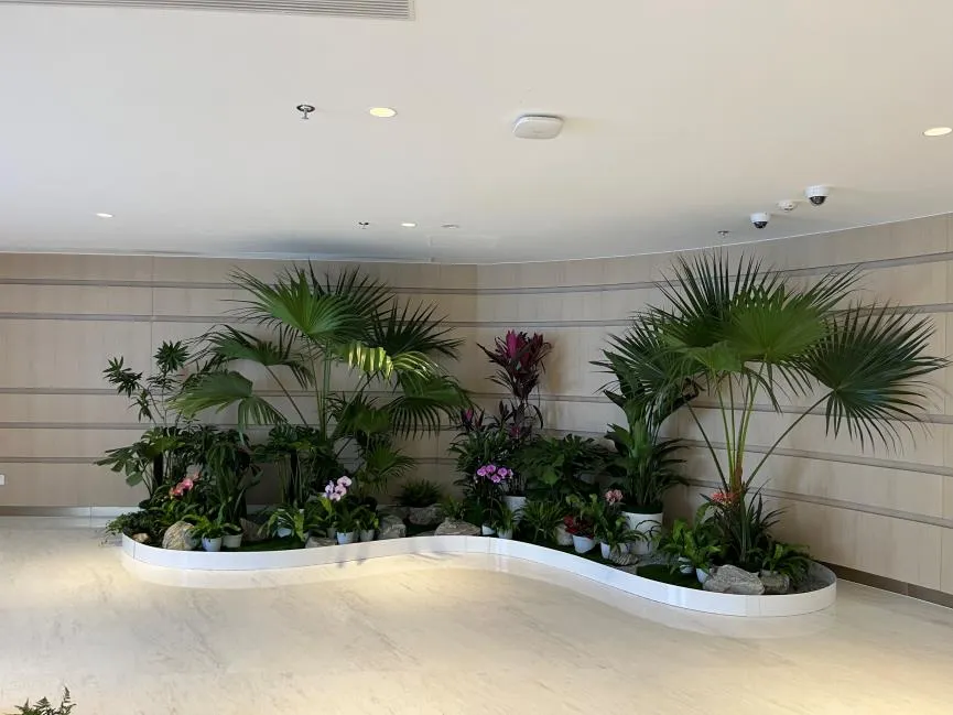 宁波镇海绿化修剪方案来袭，为你呈现别样绿色世界！